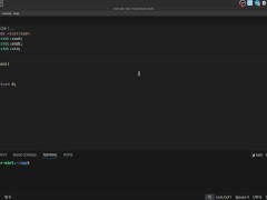 #23 Pointers(raw pointers) - Screenshot 1 of 16 - Cpp