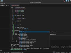 #23 Pointers(raw pointers) - Screenshot 10 of 16 - Ukraine