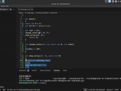 #23 Pointers(raw pointers) - Screenshot 15 of 16 - Ukraine