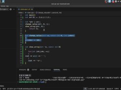 #23 Pointers(raw pointers) - Screenshot 16 of 16 - Cpp