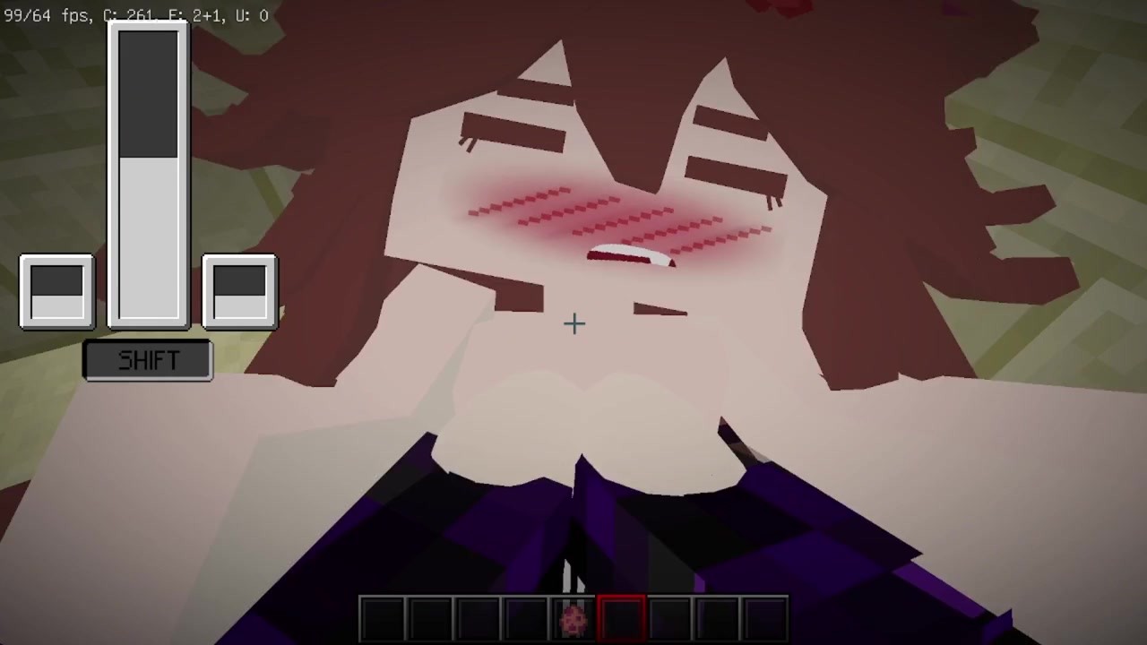 Všechny dívky z JennyMod (FapCraft)