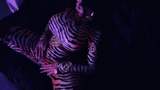 Carmen Doll sexy tiger suit