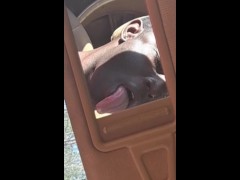 👅🅿️Ɛ🅰️ŘĹ   Gʻ🅰️MƐ  ©️®️🅰️ŽŸ👅