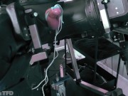 VR & ELECTRO