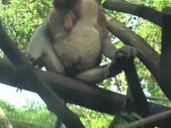 Jamie Marleigh is super happy to go to Singapore with you