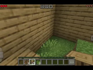 Noob in Minecraft Teil 1 XD