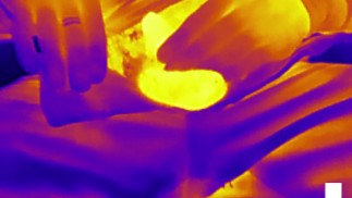 Thermal vision - Anal hook