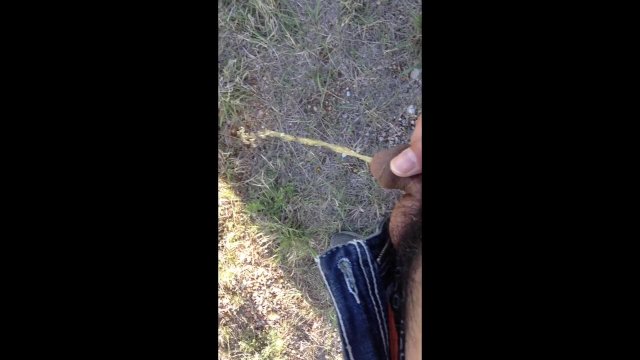 Desperate side of the road public piss (had to stop the car to take a piss on the side of the road)