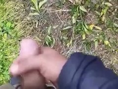 Sega nel bosco sotto gli occhi di tutti