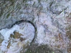 Peeing in The Great Outdoors