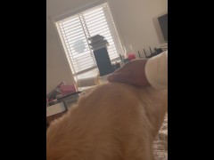 Aggressive Little One