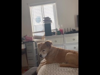 Aggressive little one