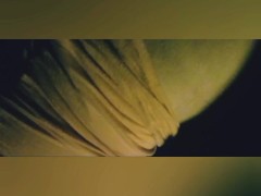 Happy Easter Everyone! - Screenshot 8 of 16 - Blowjob