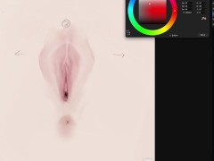 how to draw female sexual organs