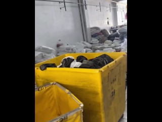 Squirt at the Laundry where I Work