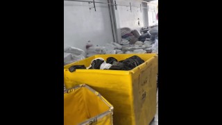 Dangerous Squirt At Work