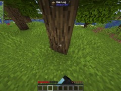 Techno-magic minecraft lets play ► Minecraft #1 - Screenshot 1 of 16 - Magic