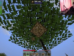 Techno-magic minecraft lets play ► Minecraft #1 - Screenshot 13 of 16 - Lets Play