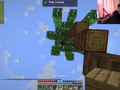 Techno-magic minecraft lets play ► Minecraft #1 - Screenshot 8 of 16 - Lets Play
