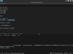 #25 Pointers arithmetic - Screenshot 10 of 16 - Ukraine