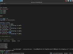 #25 Pointers arithmetic - Screenshot 15 of 16 - Ukraine