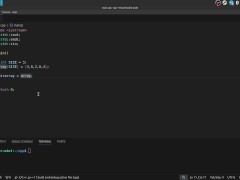 #25 Pointers arithmetic - Screenshot 3 of 16 - Programming