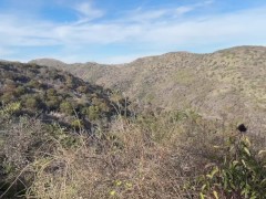 Lily Phillips Fucks Stranger In Public - Screenshot 8 of 16 - Outdoor Blowjob