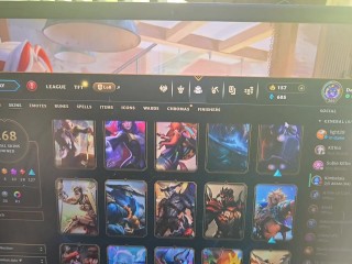 Chubby Girlfriend League of Legends Skins Collection
