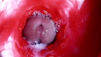 Горячая мокрая сексуальная дыра и хлюпающий большой член