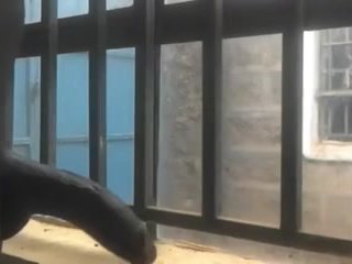 ЧУДАКОВАТЫЙ МАЛЬЧИШКА ЧУТЬ НЕ ЗАСТУКАЛ ЗА ЧЕРЕЗ ОКНО