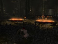 Testing mods Skyrim AE