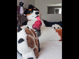 @AngryBarks self Sucking his Extra Large Bone💦