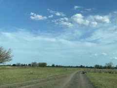 Зять увёз тёщу в лес,трахнул и залил её рот кримпаем - Screenshot 2 of 16 - Pussy