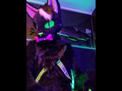 Kitty having alittle fun - Screenshot 1 of 16 - Soft