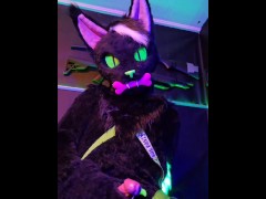 Kitty having alittle fun - Screenshot 16 of 16 - Soft