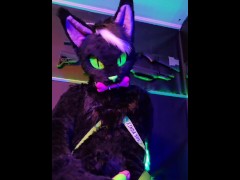 Kitty having alittle fun - Screenshot 2 of 16 - Furry