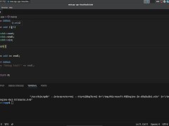 #29 Preprocessor Directives