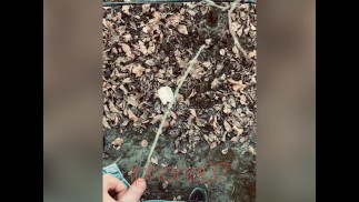 真正的尿绝望，差点尿在我的内裤里