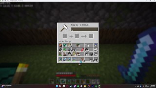 MINECRAFT HOUSE TOUR 2 - MEER MENSEN OM MEE TE SPELEN