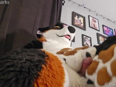 @AngryBarks plays with his step sister's paws, licks his cum off them💦 #PawFetish #FootJob #CumShot