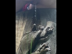Naughty Outdoor Pee While Sitting on a Log