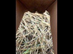 My Tiny Pussy Pees While a Monkey Watches