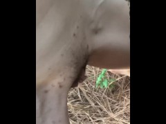 I Pee Standing Like a Naughty Dog in Heat