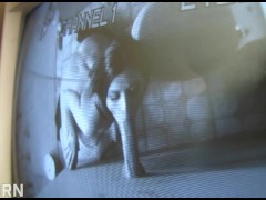 Hot milf hungry of hard cock want a blowjob with cum in mouth