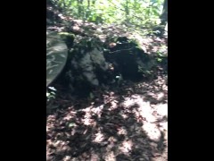 Nervoeus in forest