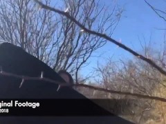 Early Stages of our life as content creators while living "HomeFree"