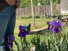 Watering the flowers and plants with a sexy desperate public piss outside close to neighbors