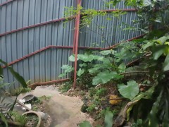 Walking in Kuala Lumpur. Malaysia!