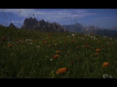 да, это мем :D - Screenshot 8 of 16 - Funny