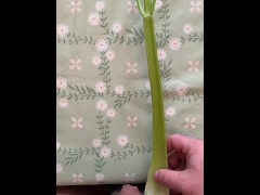 Tiny Dick Sessions - 3 - Screenshot 13 of 16 - Micro Penis